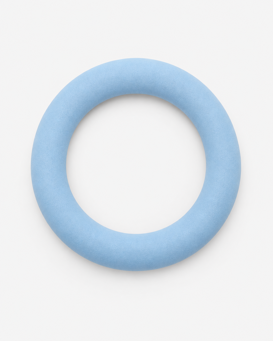 A soft pale blue flying ring dog toy seen from above on a light grey background.