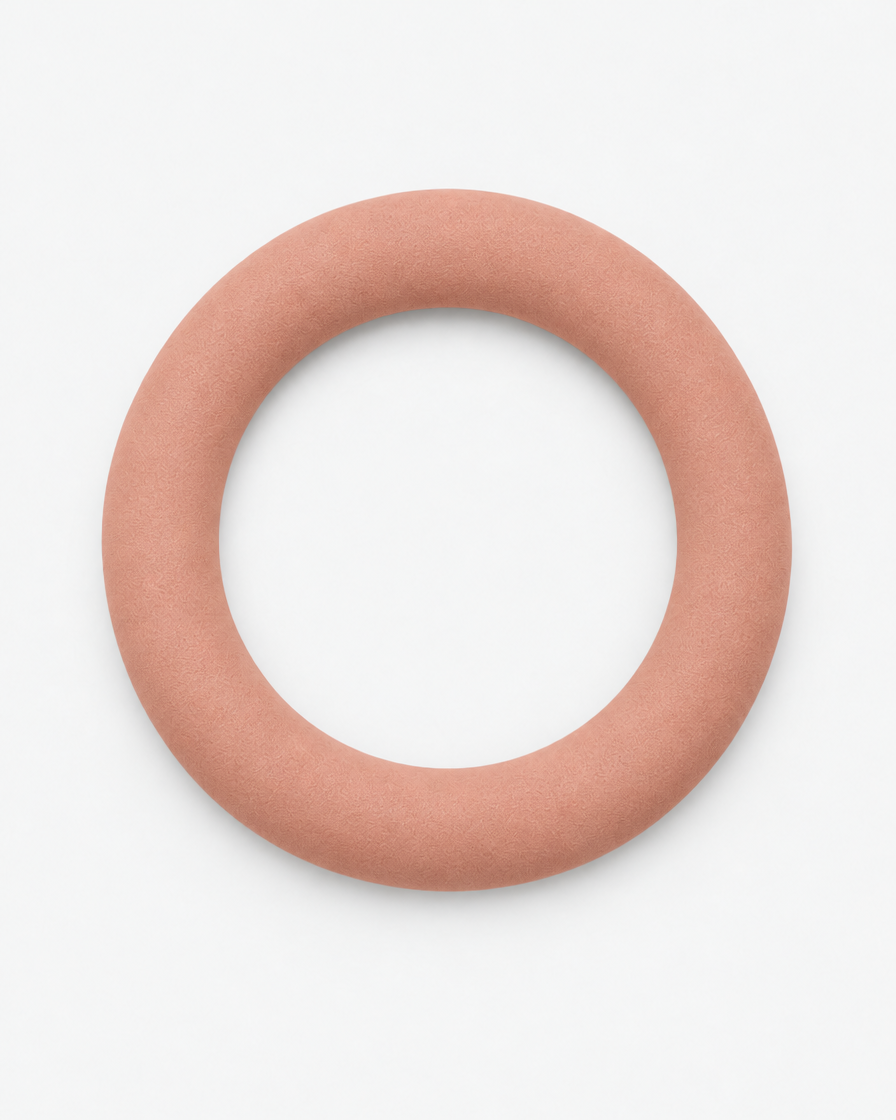 A dusty terracotta pink flying ring dog toy seen from above on a light grey background.