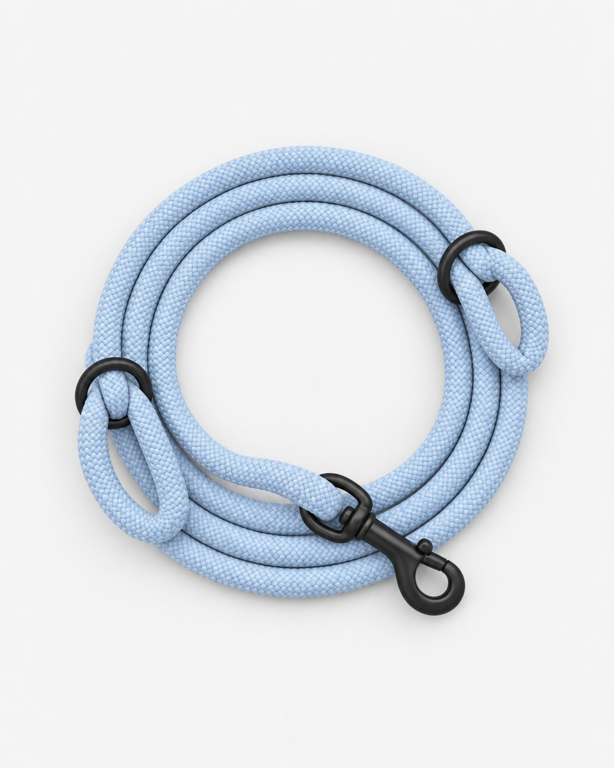 A pale powder blue climbing-rope dog leash coiled neatly, seen from above, with two black slide rings and a black swivel clip on a light grey background.