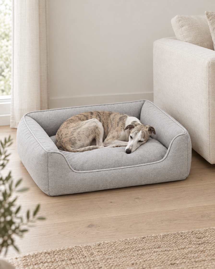A whippet curled up asleep in a light grey bolster dog bed on an oak floor beside a cream linen sofa.