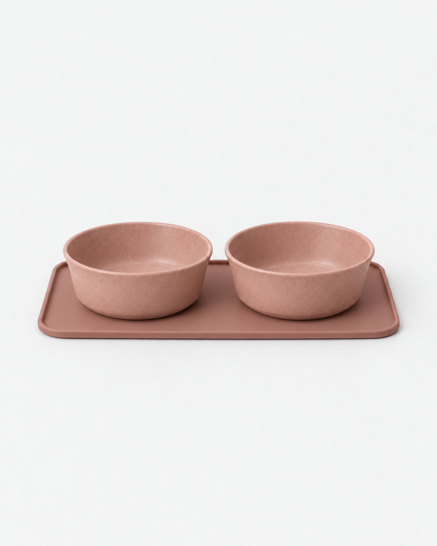 Two dusty terracotta pink stoneware pet bowls sitting side by side on a matching silicone mat against a light grey studio background.