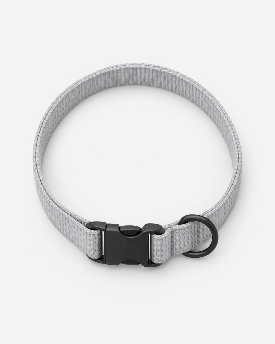 A flat light grey webbing dog collar curled into a loop, with a matte black side-release buckle and a separate D-ring, photographed from above on a light grey background.