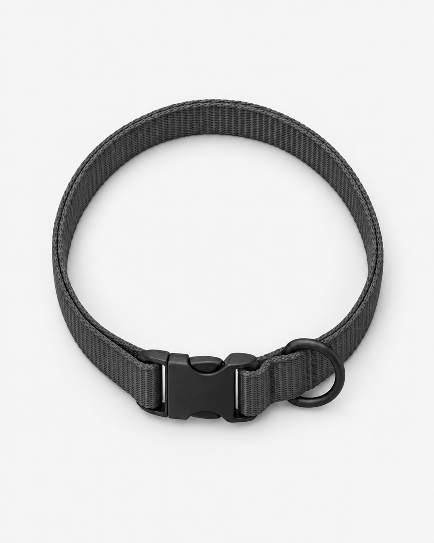 A flat charcoal dark grey webbing dog collar curled into a loop, with a matte black side-release buckle and a separate D-ring, on a light grey background.