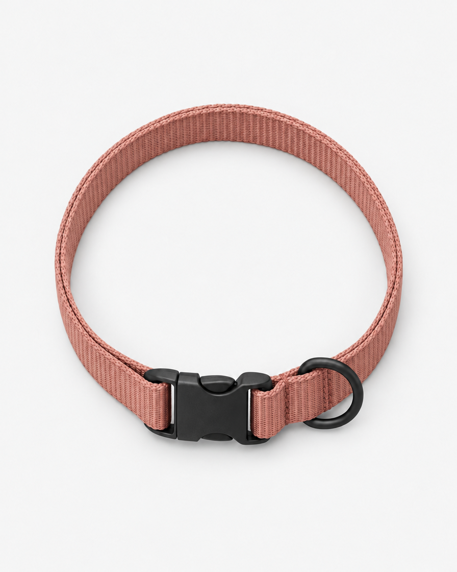 A flat dusty terracotta pink webbing dog collar curled into a loop, with a matte black side-release buckle and a separate D-ring, on a light grey background.