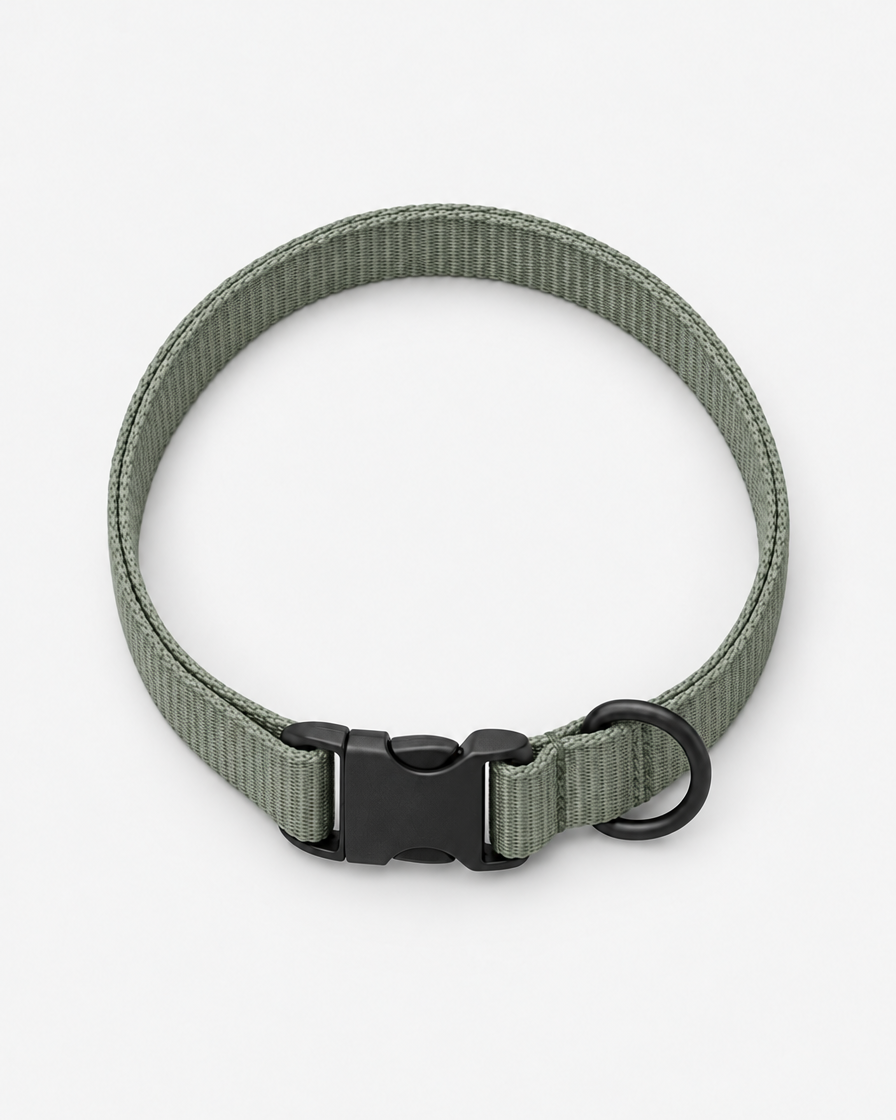 A flat grey-green webbing dog collar curled into a loop, with a matte black side-release buckle and a separate D-ring, on a light grey background.