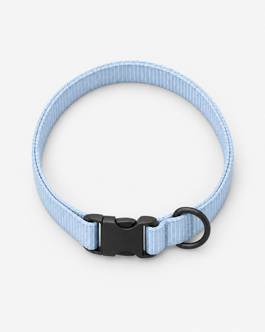 A flat pale powder blue webbing dog collar curled into a loop, with a matte black side-release buckle and a separate D-ring, on a light grey background.