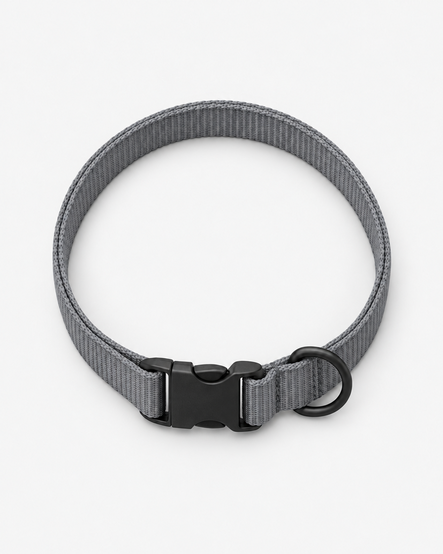 A flat mid-grey webbing dog collar curled into a loop, with a matte black side-release buckle and a separate D-ring, on a light grey background.